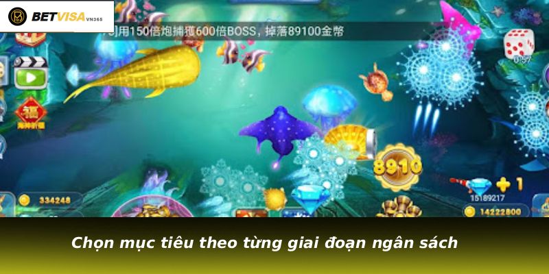 Chọn mục tiêu theo từng giai đoạn ngân sách