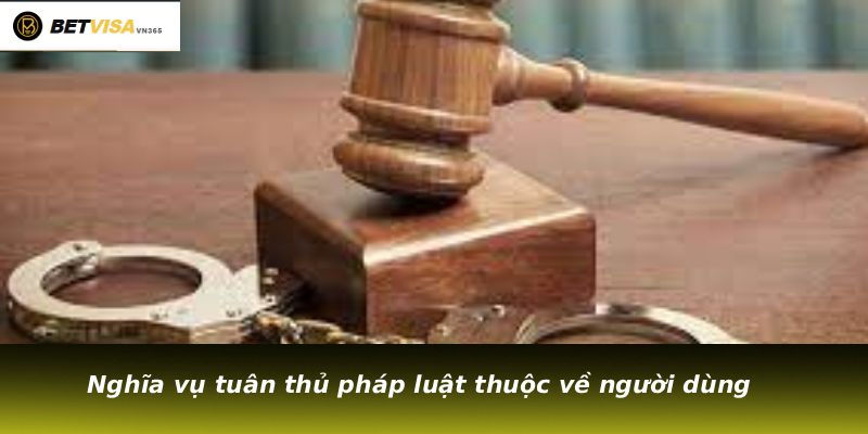 Nghĩa vụ tuân thủ pháp luật thuộc về người dùng