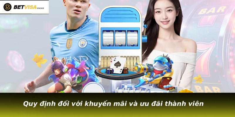 Quy định đối với khuyến mãi và ưu đãi thành viên